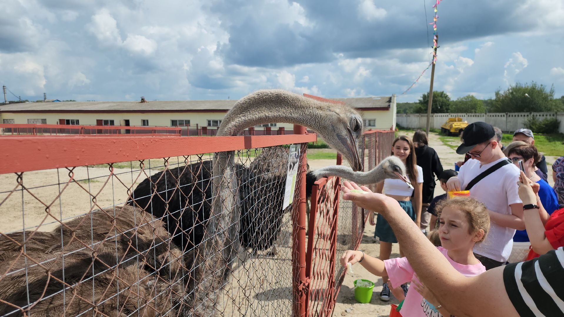 серпухов, подмосковье, дом мороженого, музей кукол,
