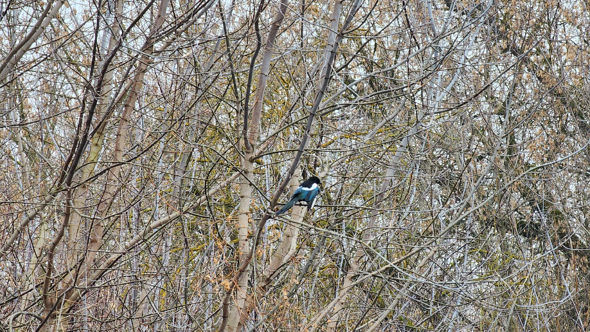 кашира, строительство, жилой комплекс, расселение аварийного жилья, крт, реновация, вертикалки,