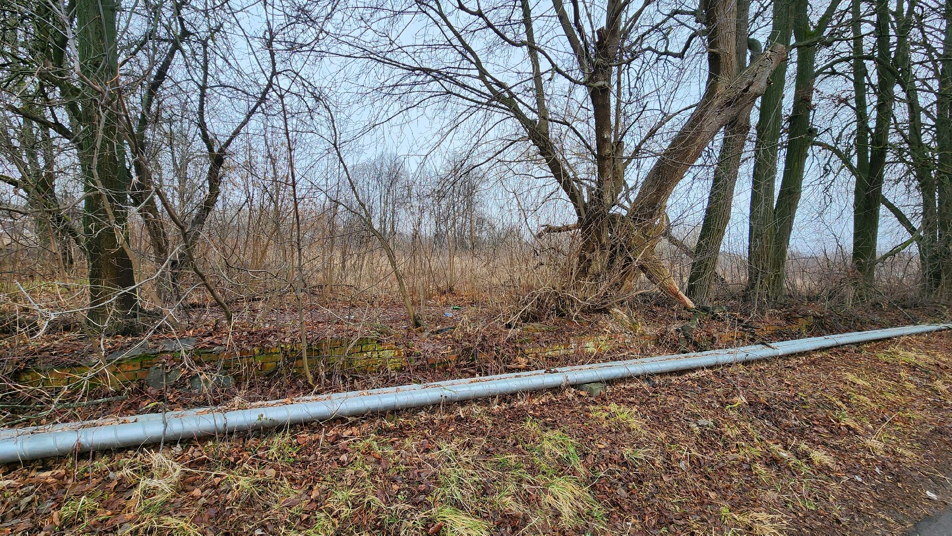 кашира, строительство, жилой комплекс, расселение аварийного жилья, крт, реновация, вертикалки,