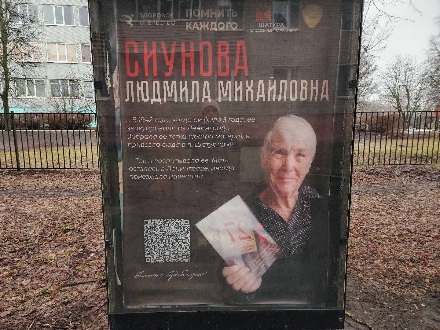 вертикалки, ветераны, молодежный парламент, кцсоир шатурский,день победы,