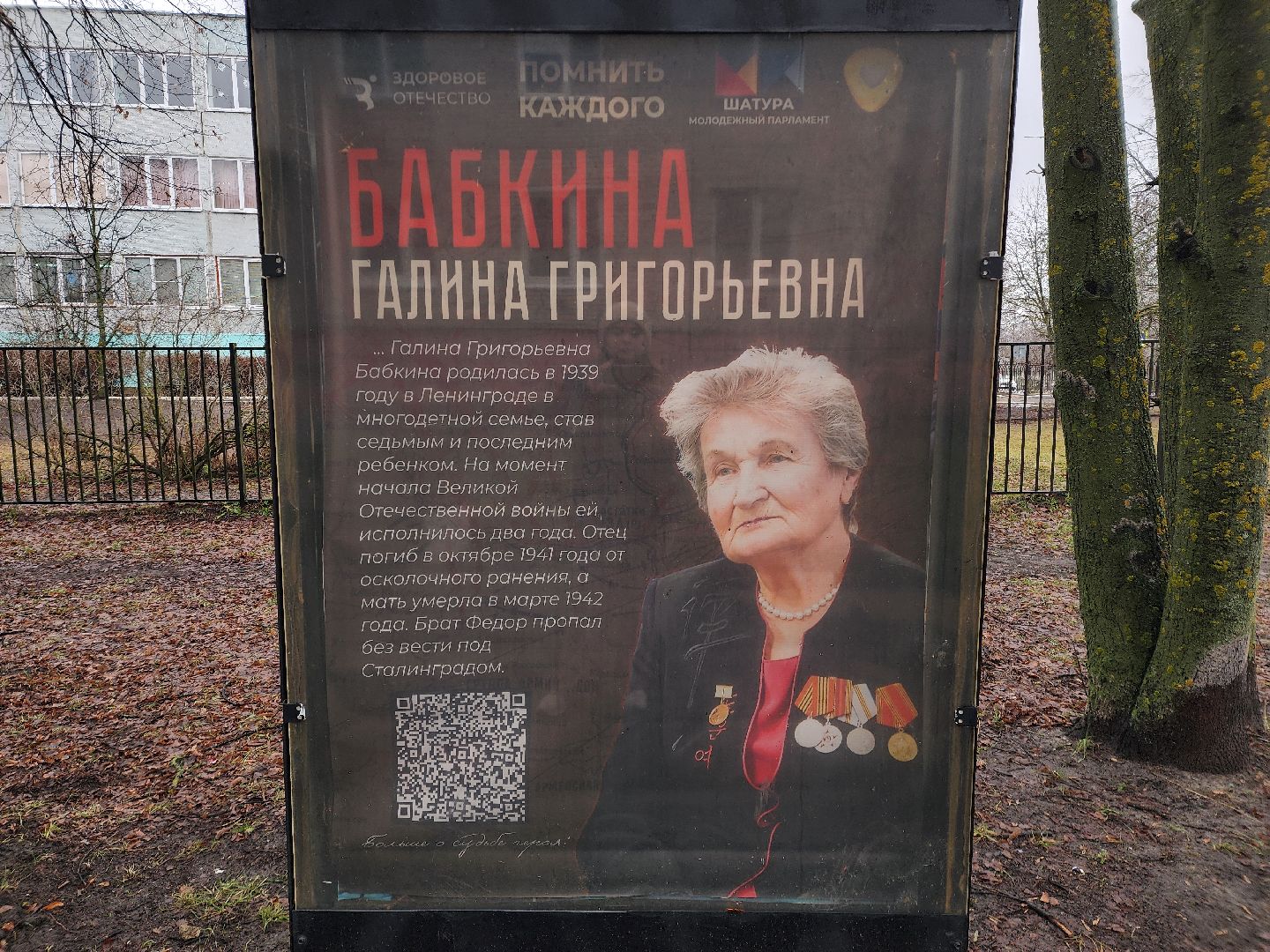 вертикалки, ветераны, молодежный парламент, кцсоир шатурский,день победы,