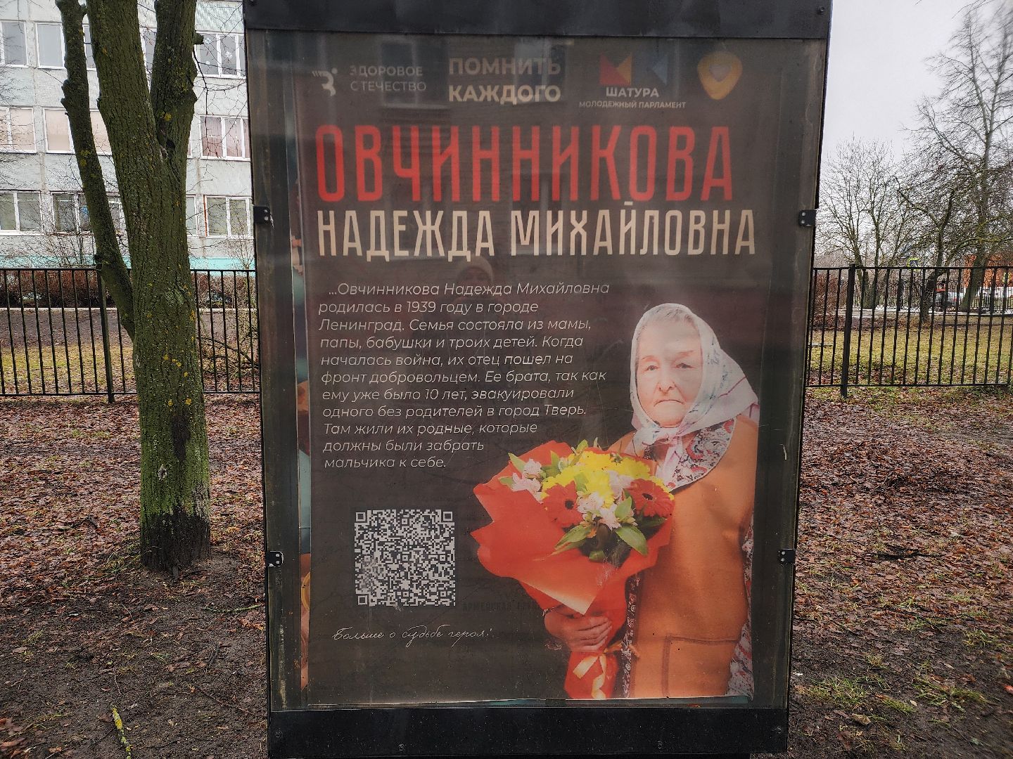 вертикалки, ветераны, молодежный парламент, кцсоир шатурский,день победы,