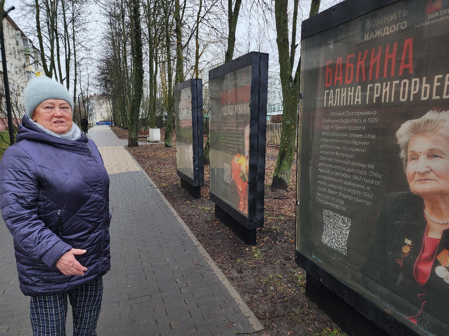 вертикалки, ветераны, молодежный парламент, кцсоир шатурский,день победы,