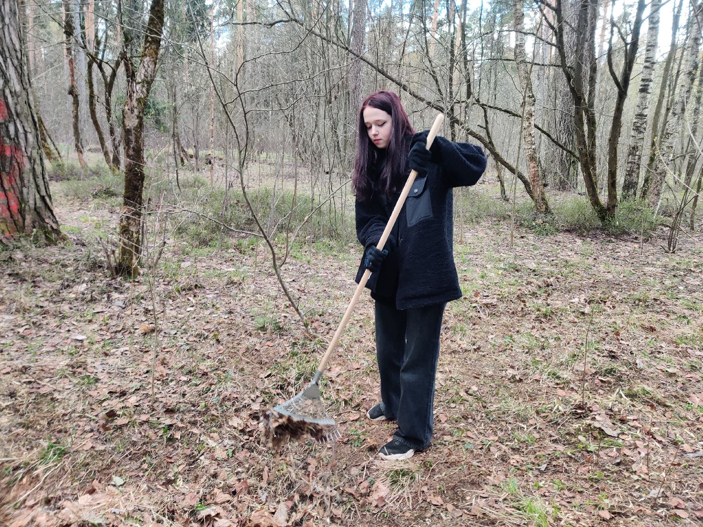 Красноармейск, Пушкинский, субботник, центральная площадка, Банный лес