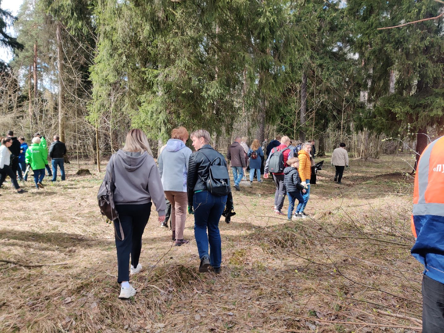 Красноармейск, Пушкинский, субботник, центральная площадка, Банный лес