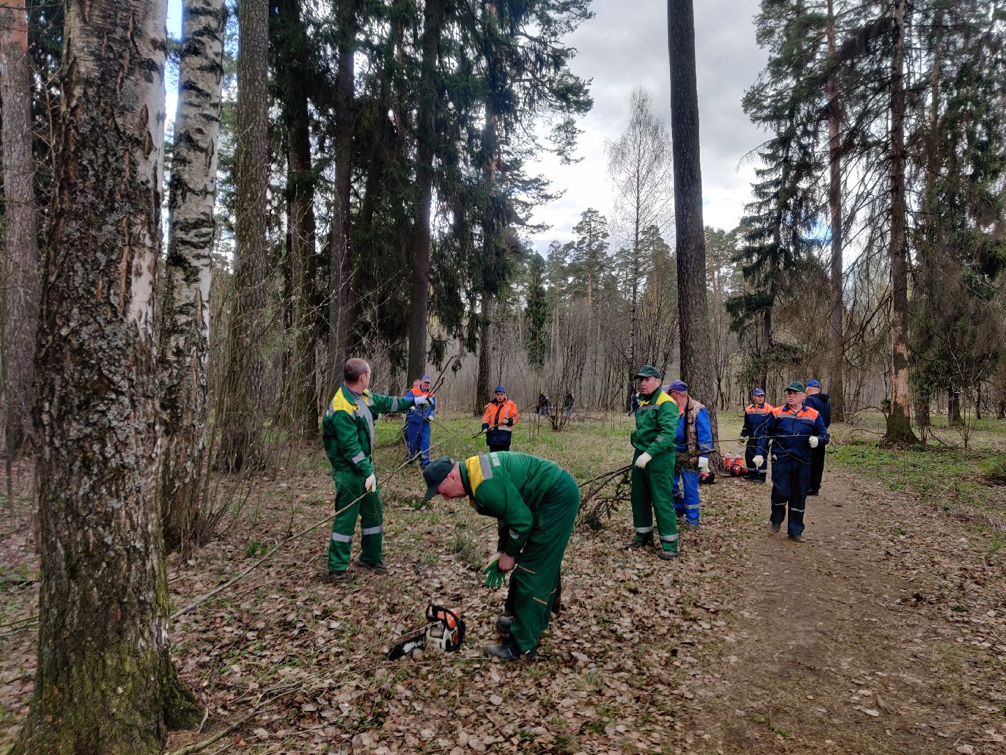 Красноармейск, Пушкинский, субботник, центральная площадка, Банный лес