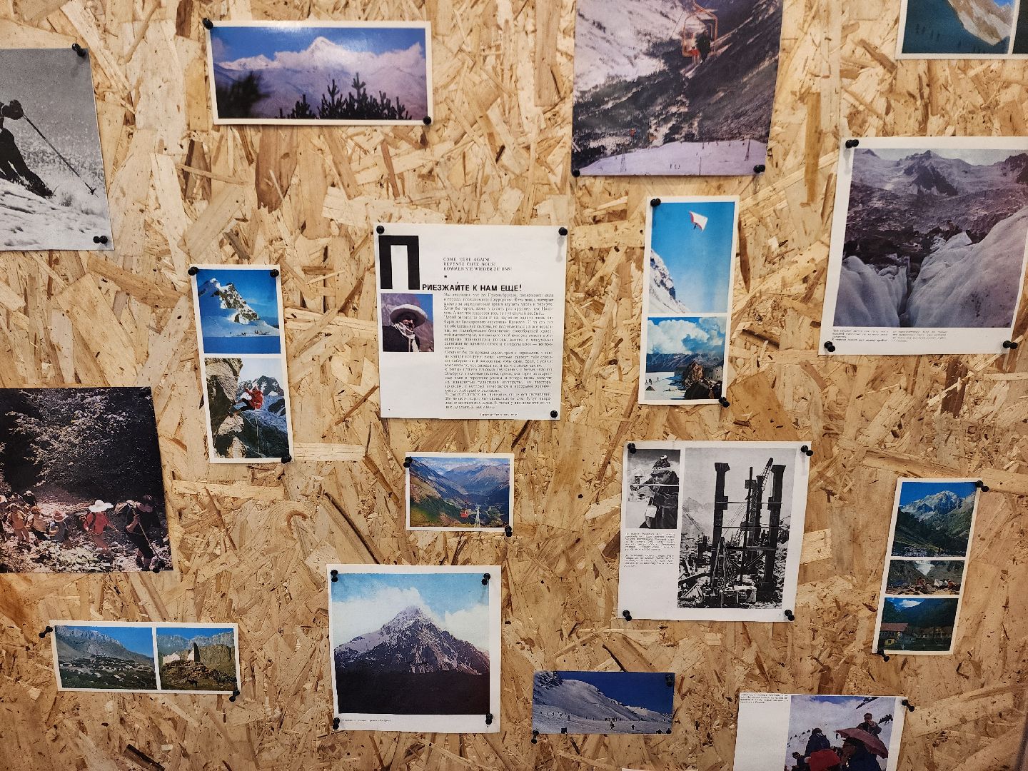 вертикалки, кофейня, шатура, кондитерские изделия, бизнес в подмосковье, экономика подмосковья,