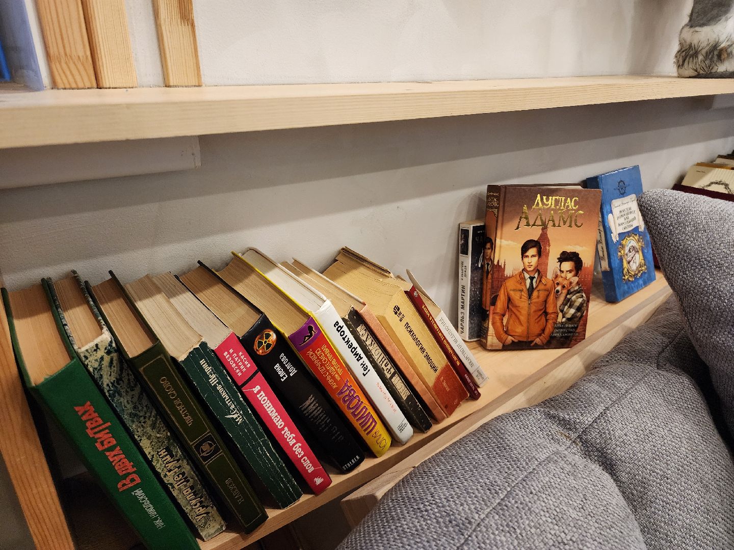 вертикалки, кофейня, шатура, кондитерские изделия, бизнес в подмосковье, экономика подмосковья,