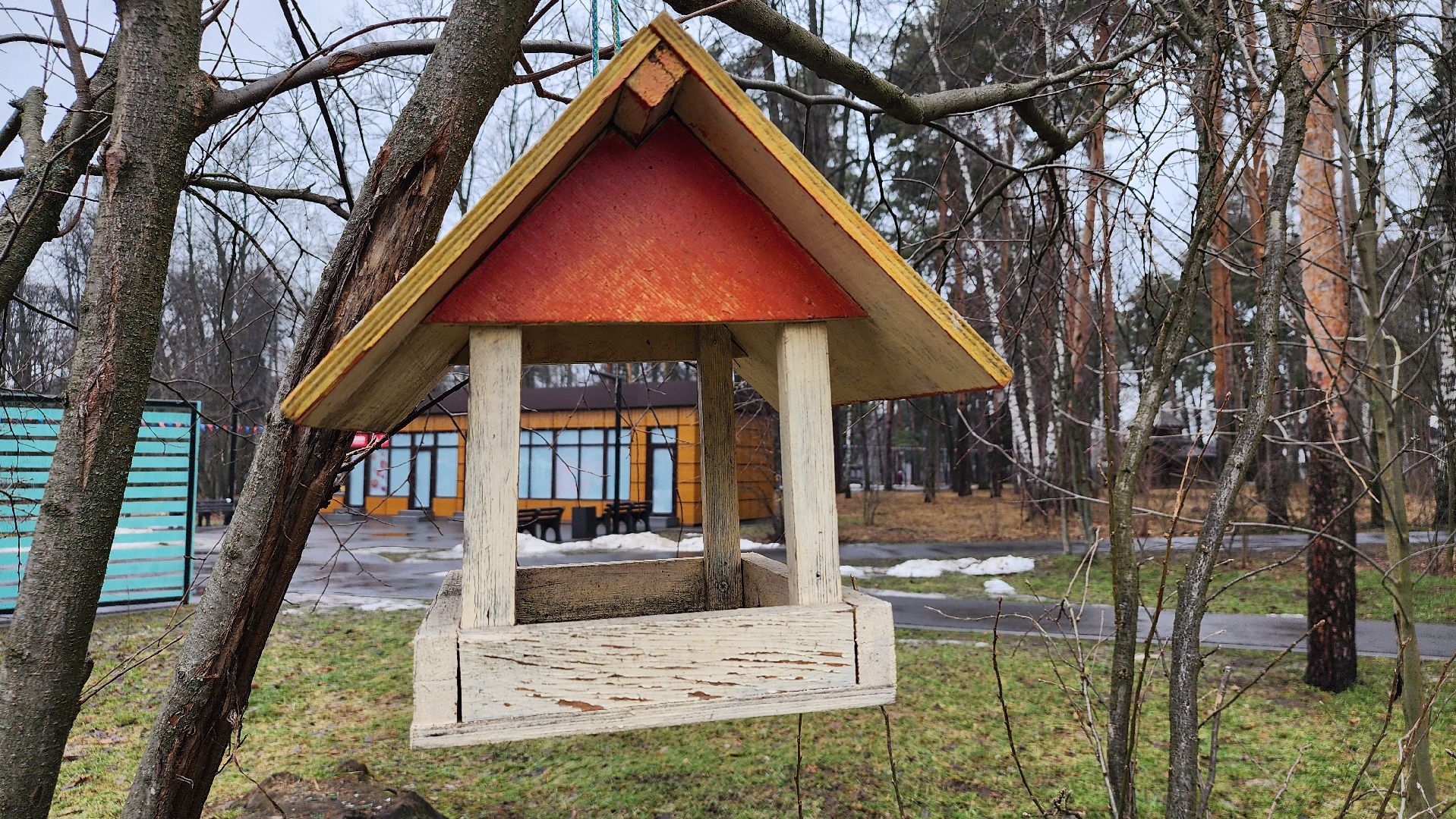 экология, зимующие птицы, корм для птиц, Ногинск, Богородский городской округ,