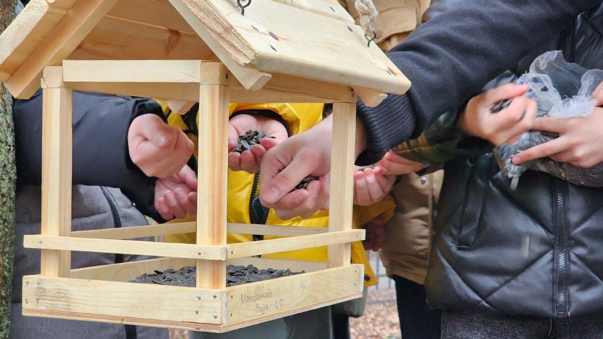 экология, зимующие птицы, корм для птиц, Ногинск, Богородский городской округ,