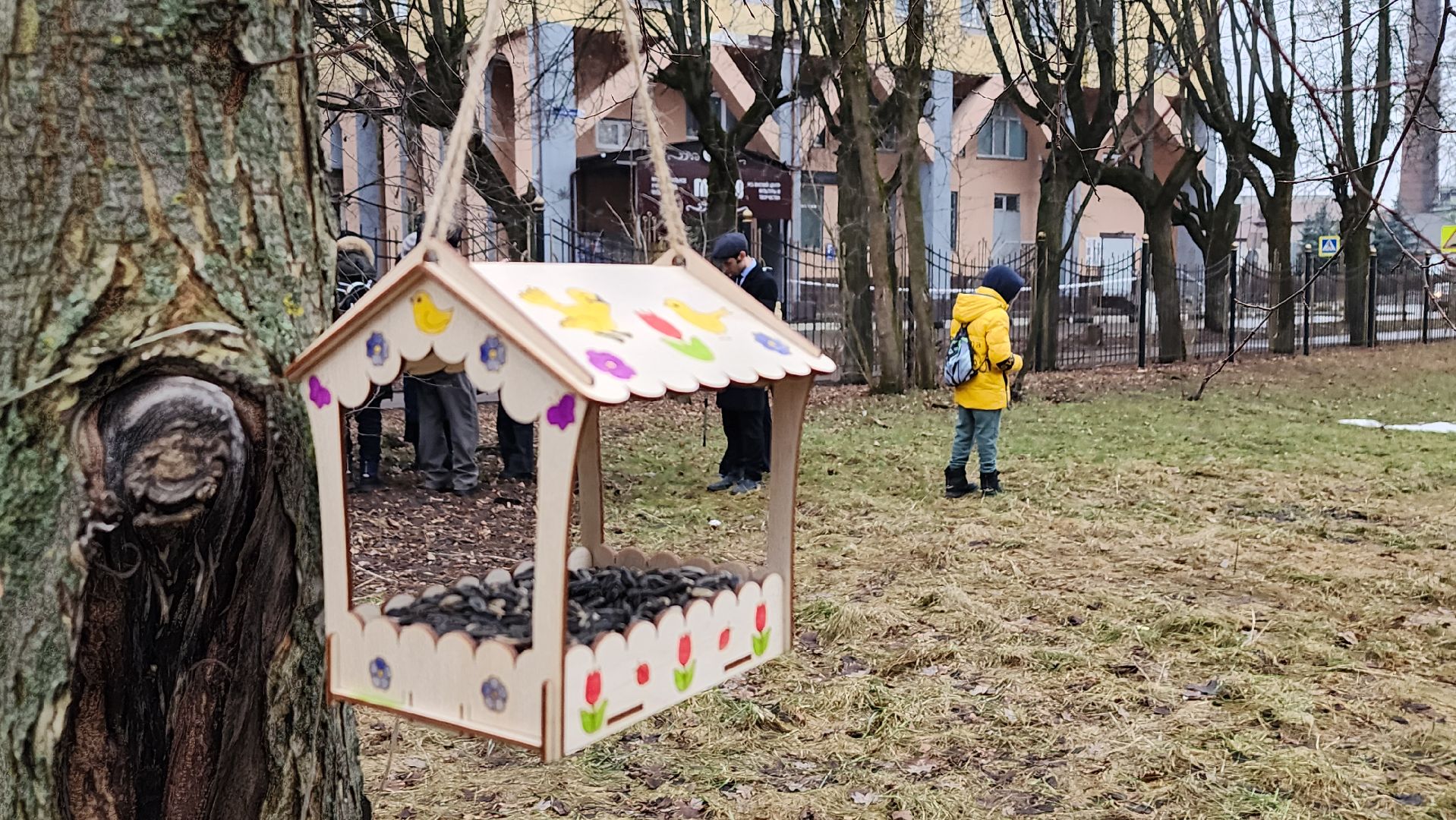 экология, зимующие птицы, корм для птиц, Ногинск, Богородский городской округ,