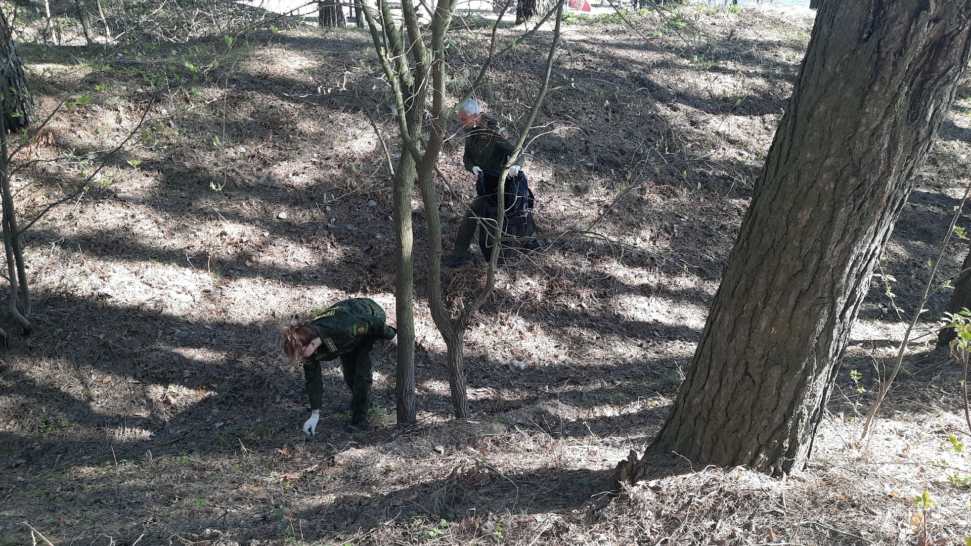 субботник, Мособллес, Вода России, Всероссийский субботник, директор ГКУ МО «Мособллес» Андрей Бобков