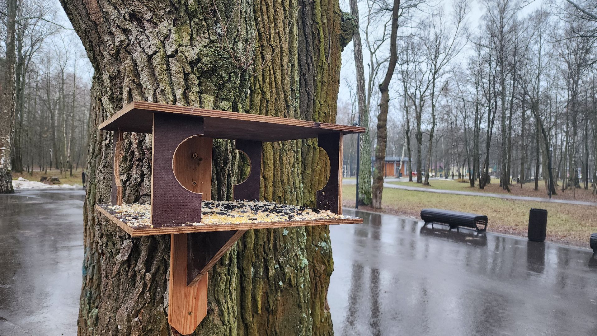 ступино, зима в подмомсковье, парки подмосковья,