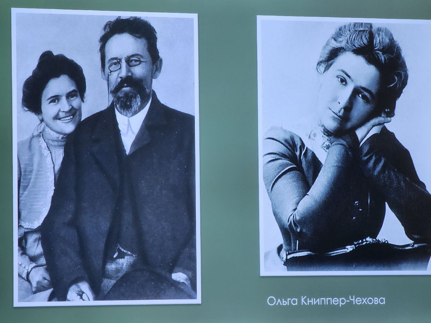 подольск, чехов, писатель, юбилей,