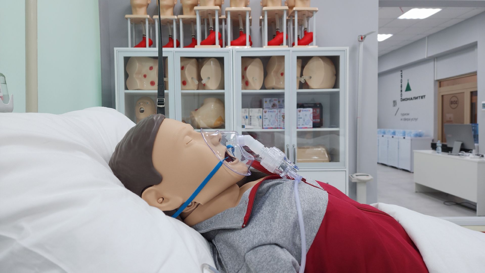 солнечногорск, вертикалки, колледж подмосковье, сестринское дело, гостиничное дело, учеба,