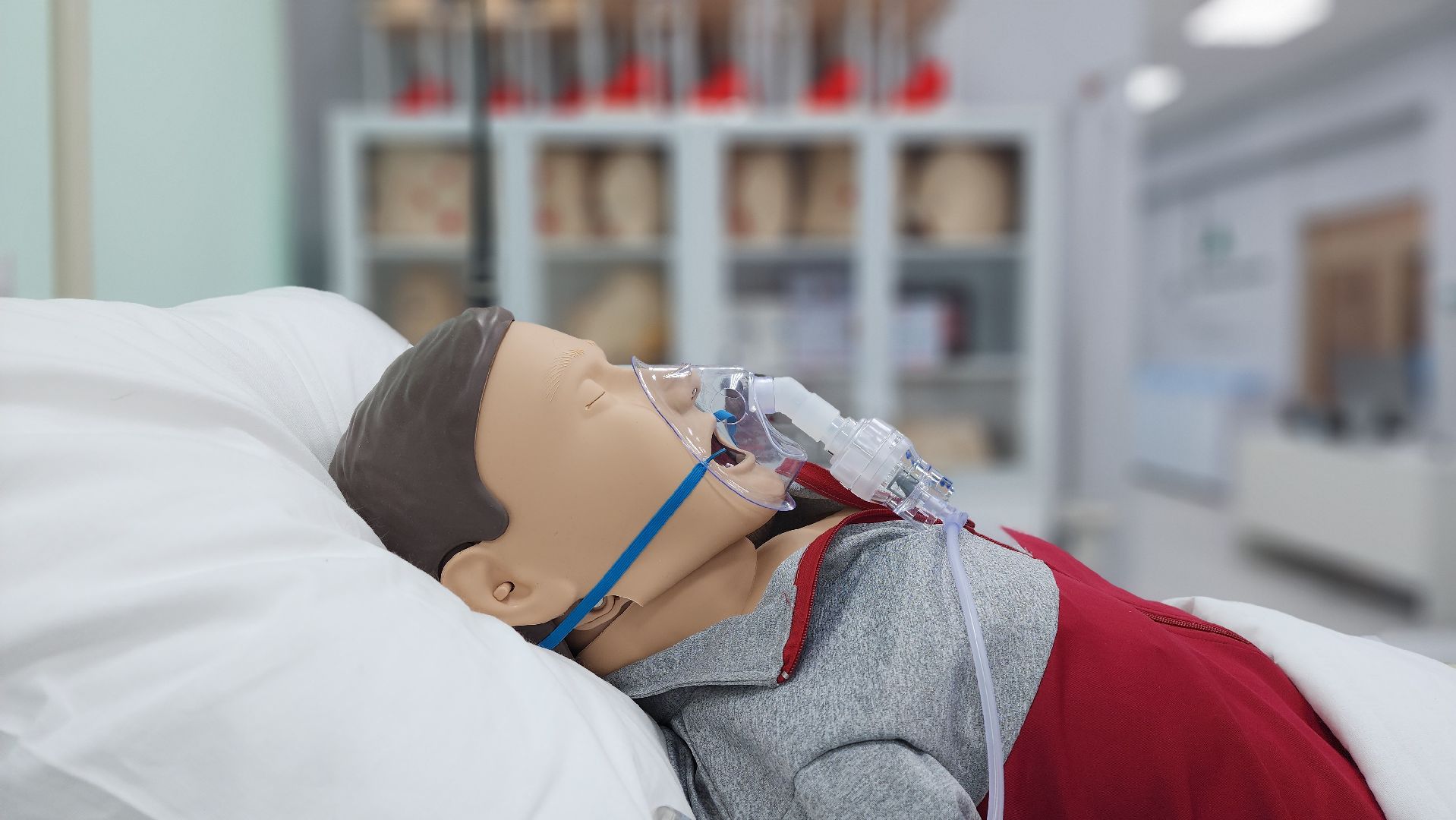 солнечногорск, вертикалки, колледж подмосковье, сестринское дело, гостиничное дело, учеба,