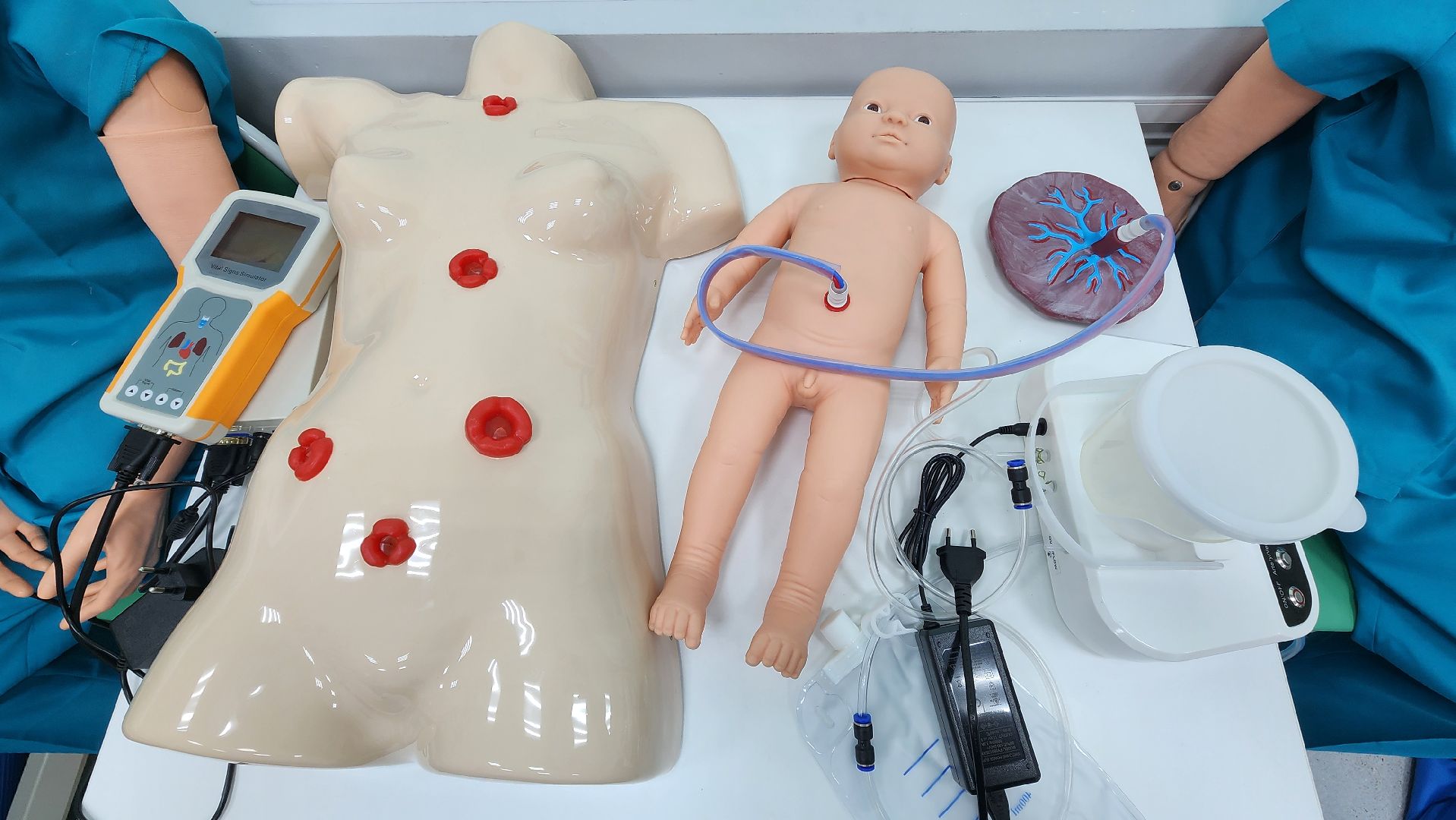 солнечногорск, вертикалки, колледж подмосковье, сестринское дело, гостиничное дело, учеба,