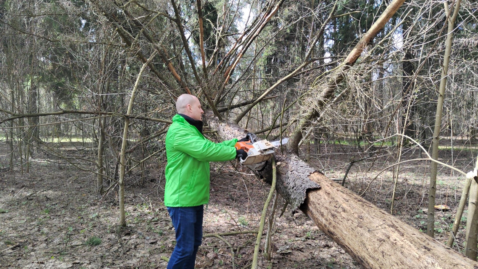 Пушкино, Пушкинский округ, субботник, благоустройство
