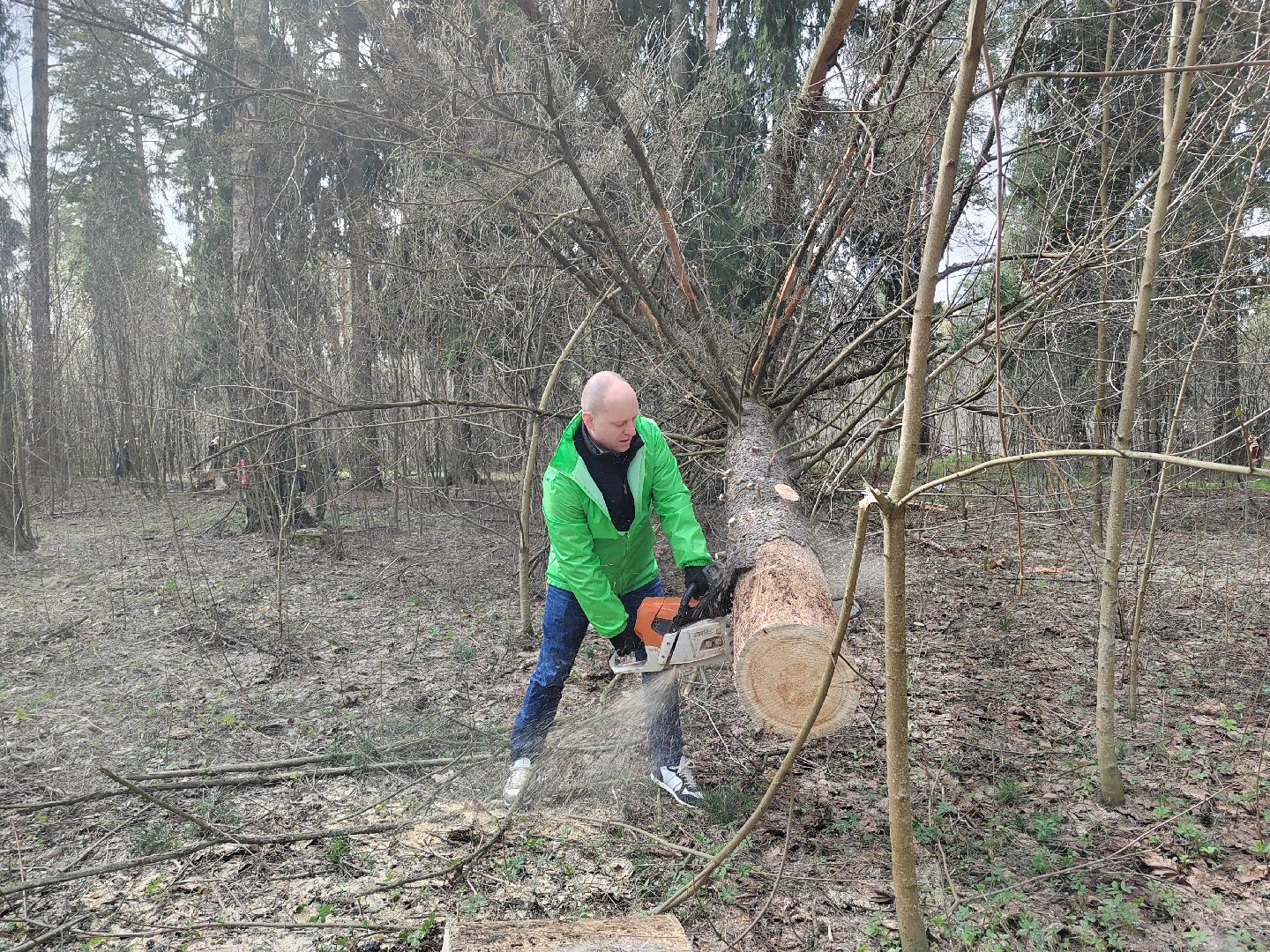 Пушкино, Пушкинский округ, субботник, благоустройство