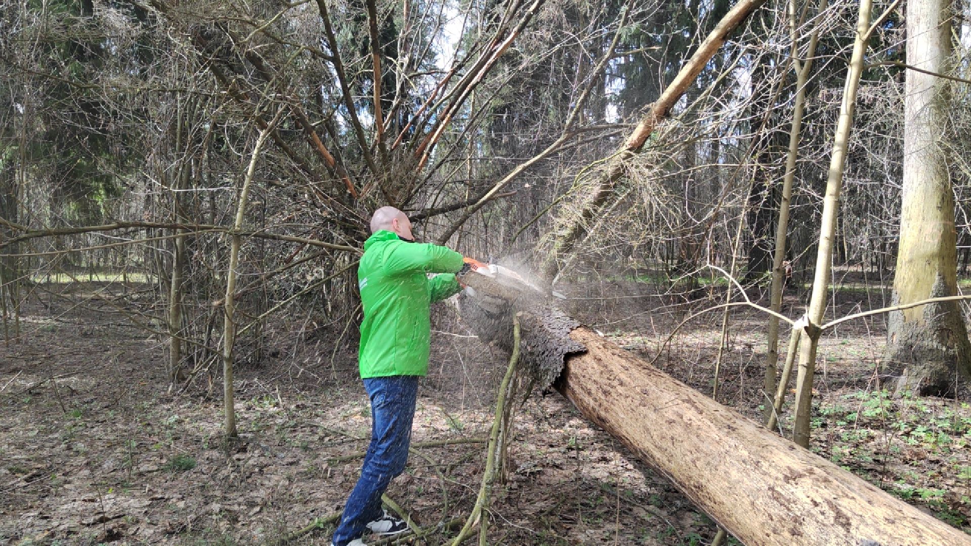 Пушкино, Пушкинский округ, субботник, благоустройство