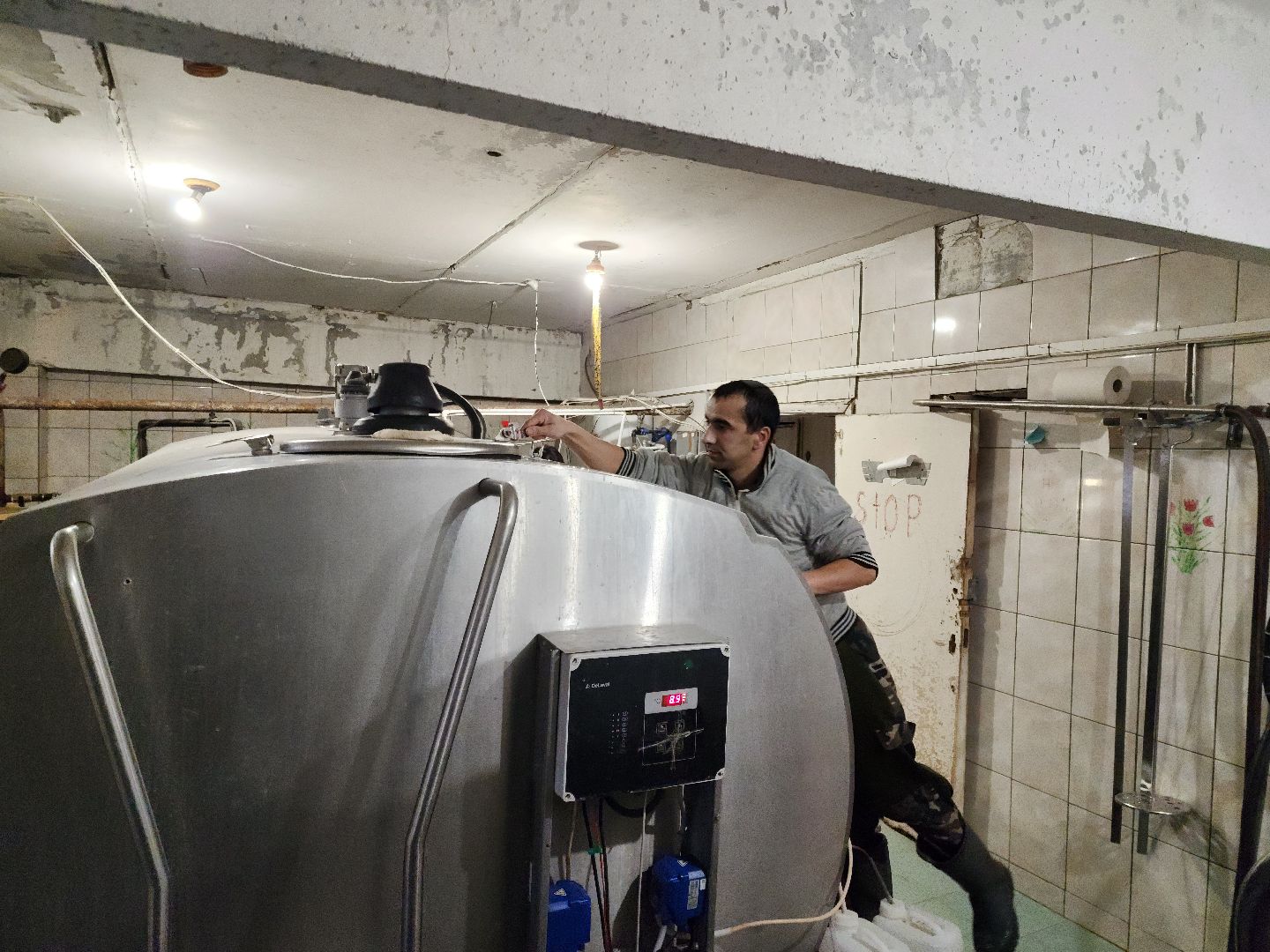 вертикалки, Зарайск, Молочная ферма,