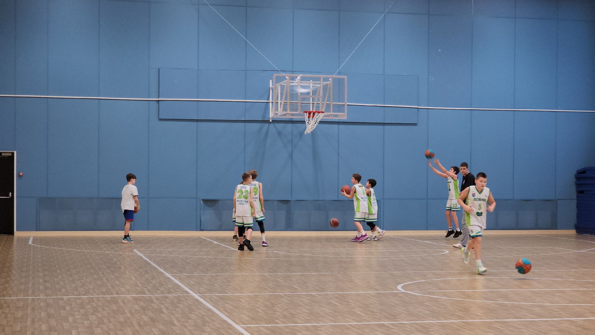 Баскетбол, Лобня, вертикалки,