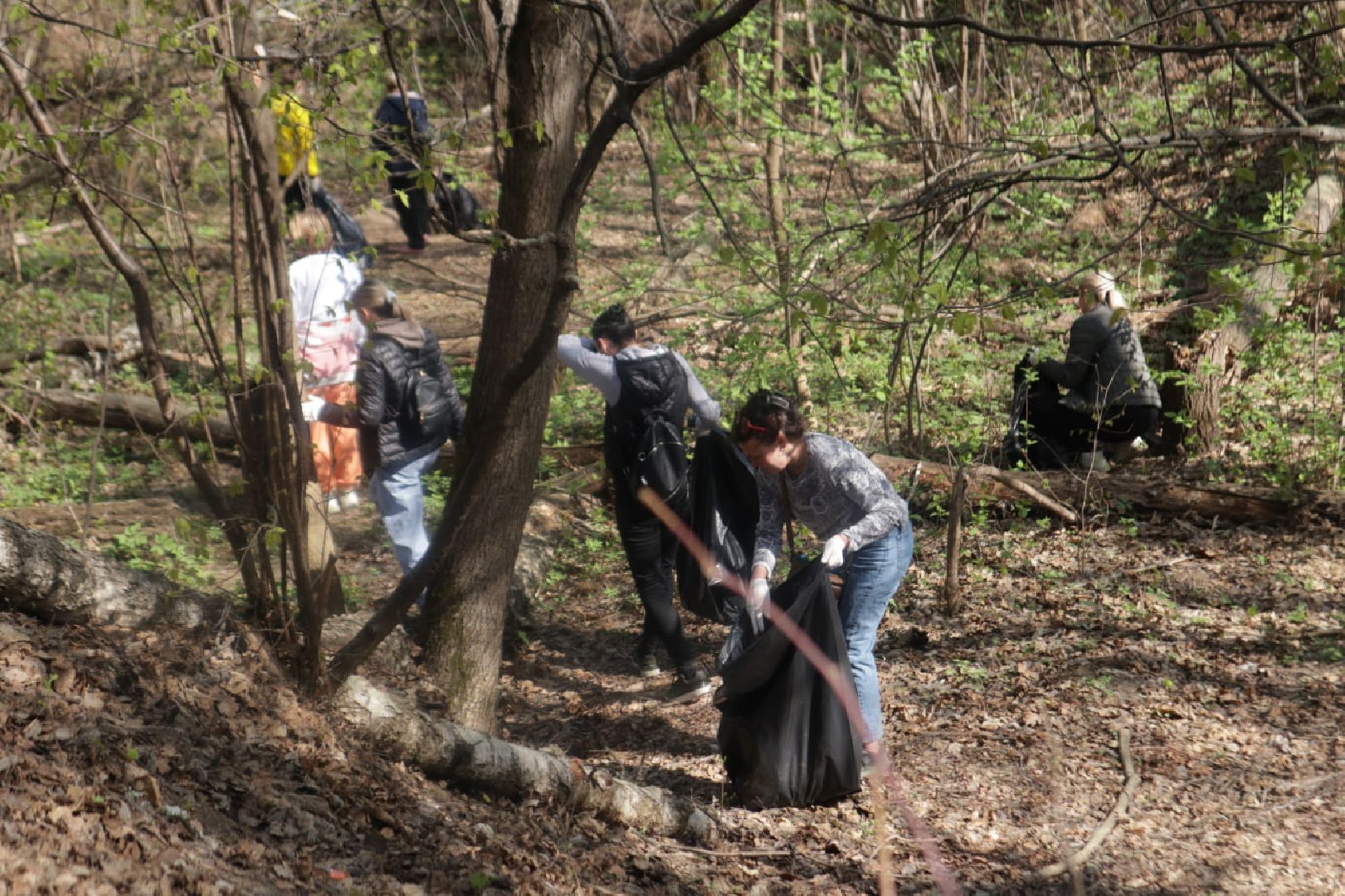 Пущино, субботник, экология