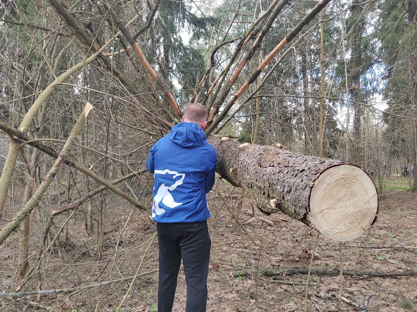 Пушкино, Пушкинский округ, Единая Россия, субботник