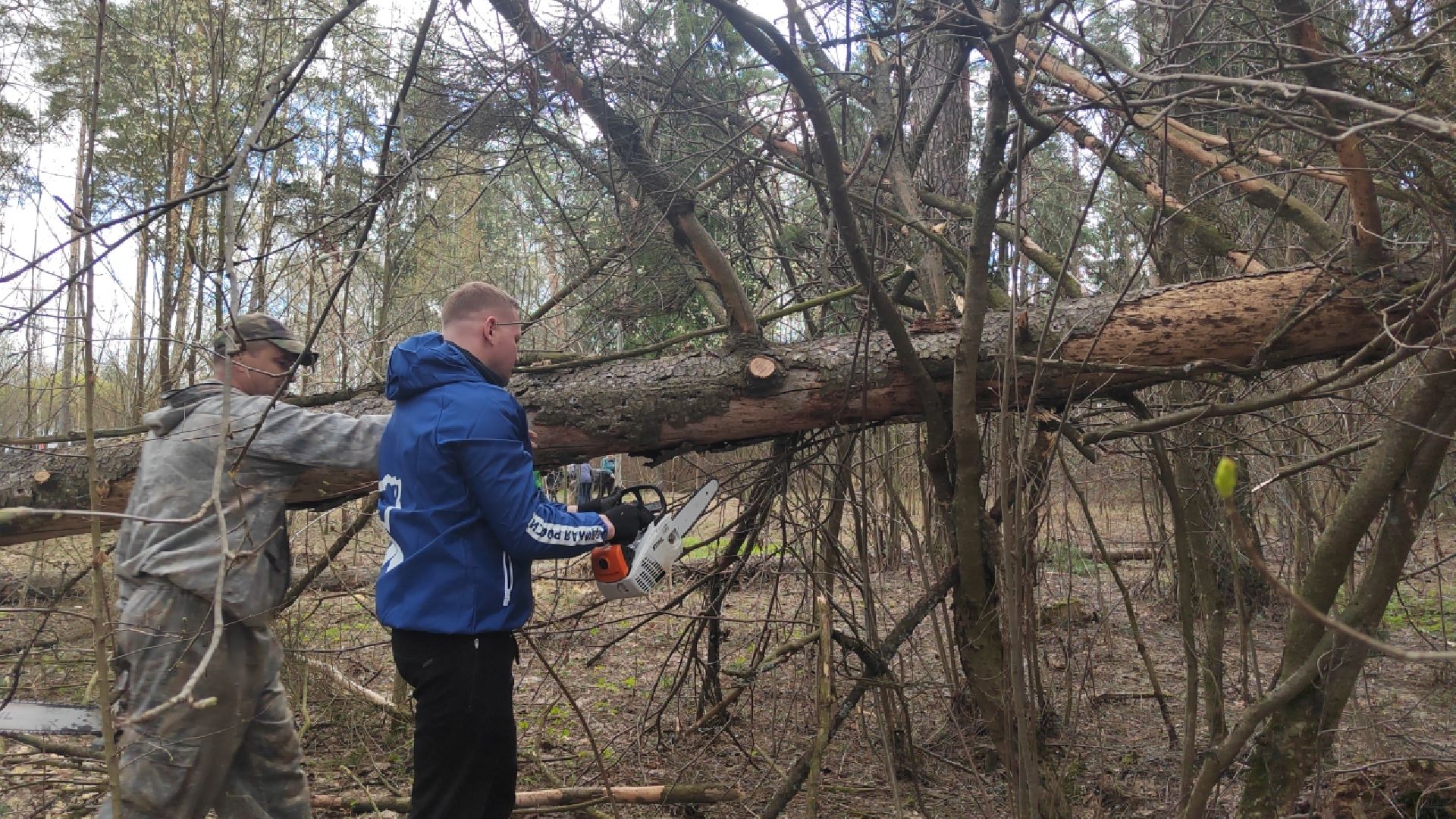 Пушкино, Пушкинский округ, Единая Россия, субботник