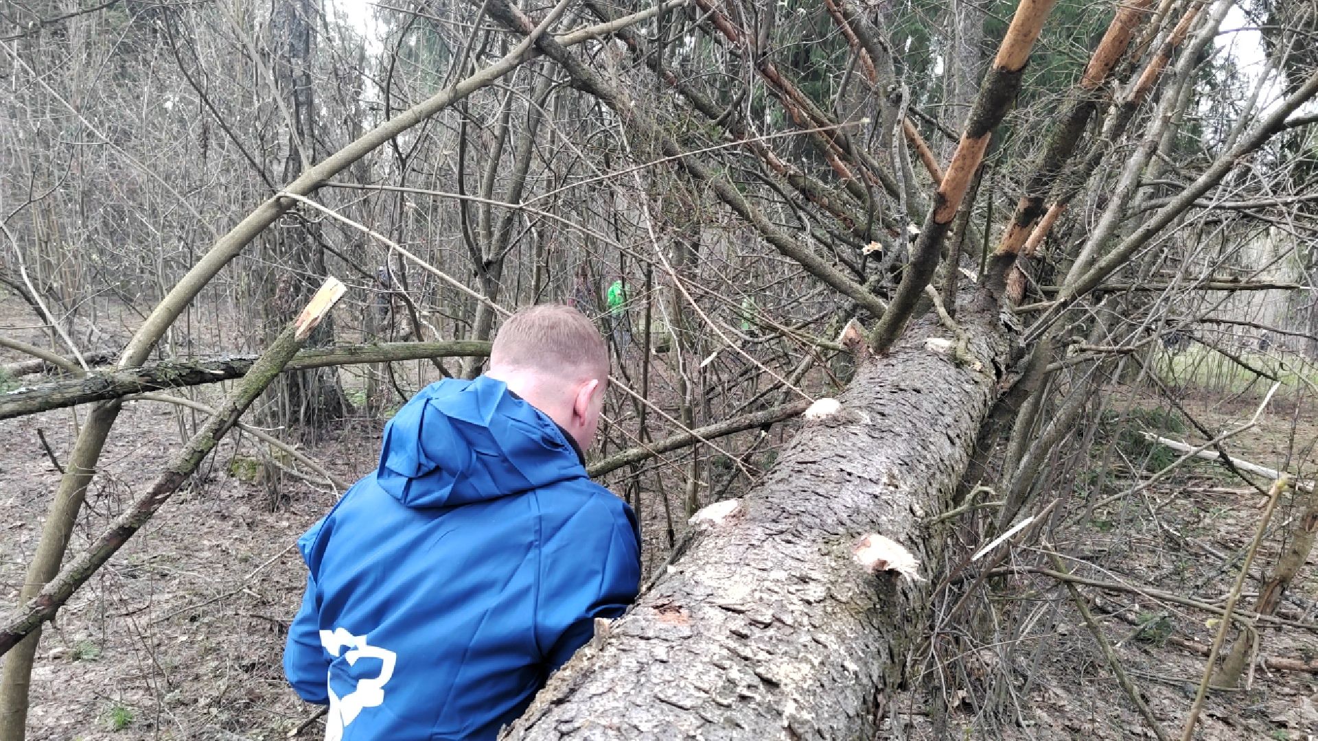 Пушкино, Пушкинский округ, Единая Россия, субботник