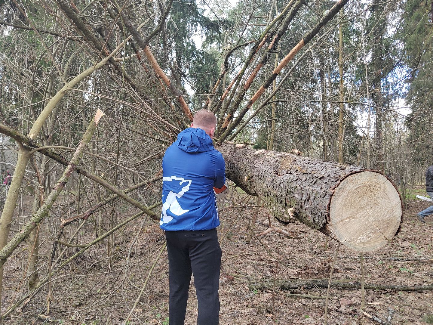 Пушкино, Пушкинский округ, Единая Россия, субботник