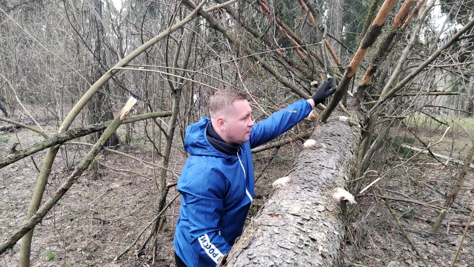 Пушкино, Пушкинский округ, Единая Россия, субботник