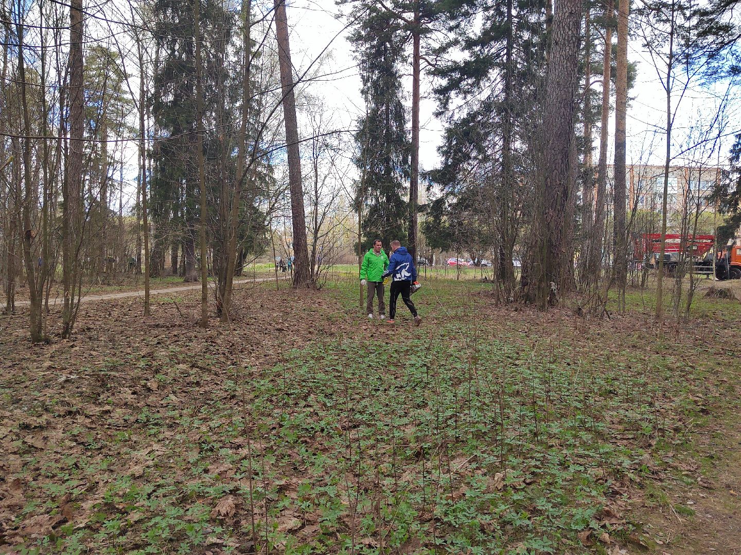 Пушкино, Пушкинский округ, Единая Россия, субботник