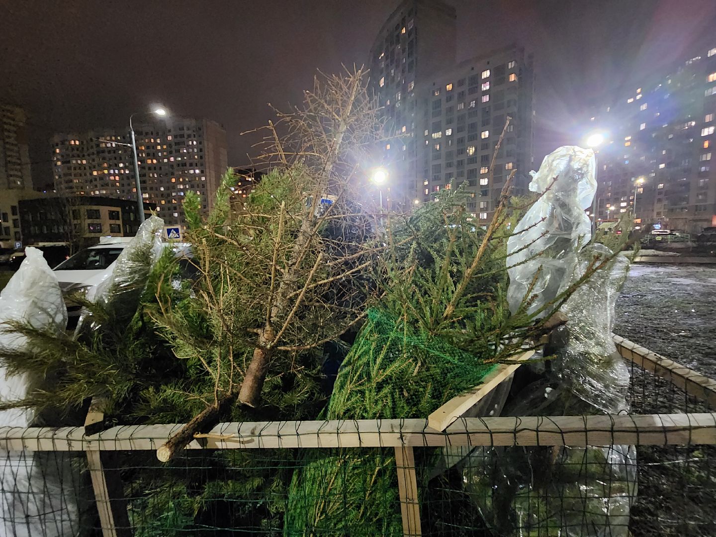 долгопрудный, проспект ракетостроителей, елки на переработку, спецплощадка, вертикалки,