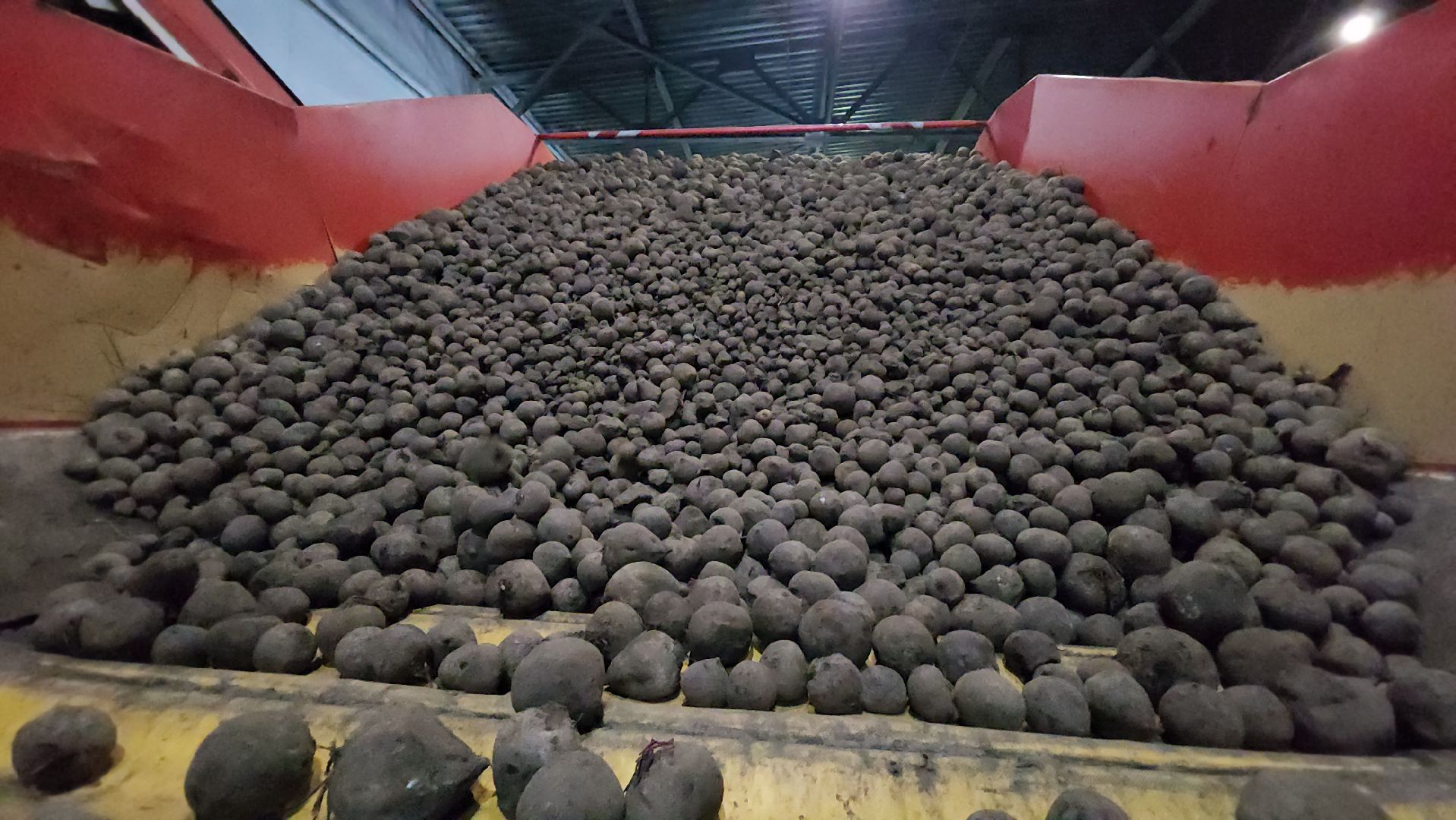 серпухов, ао дашковка, сельское хозяйство, овощехранилище, экономика, поселок большевик,