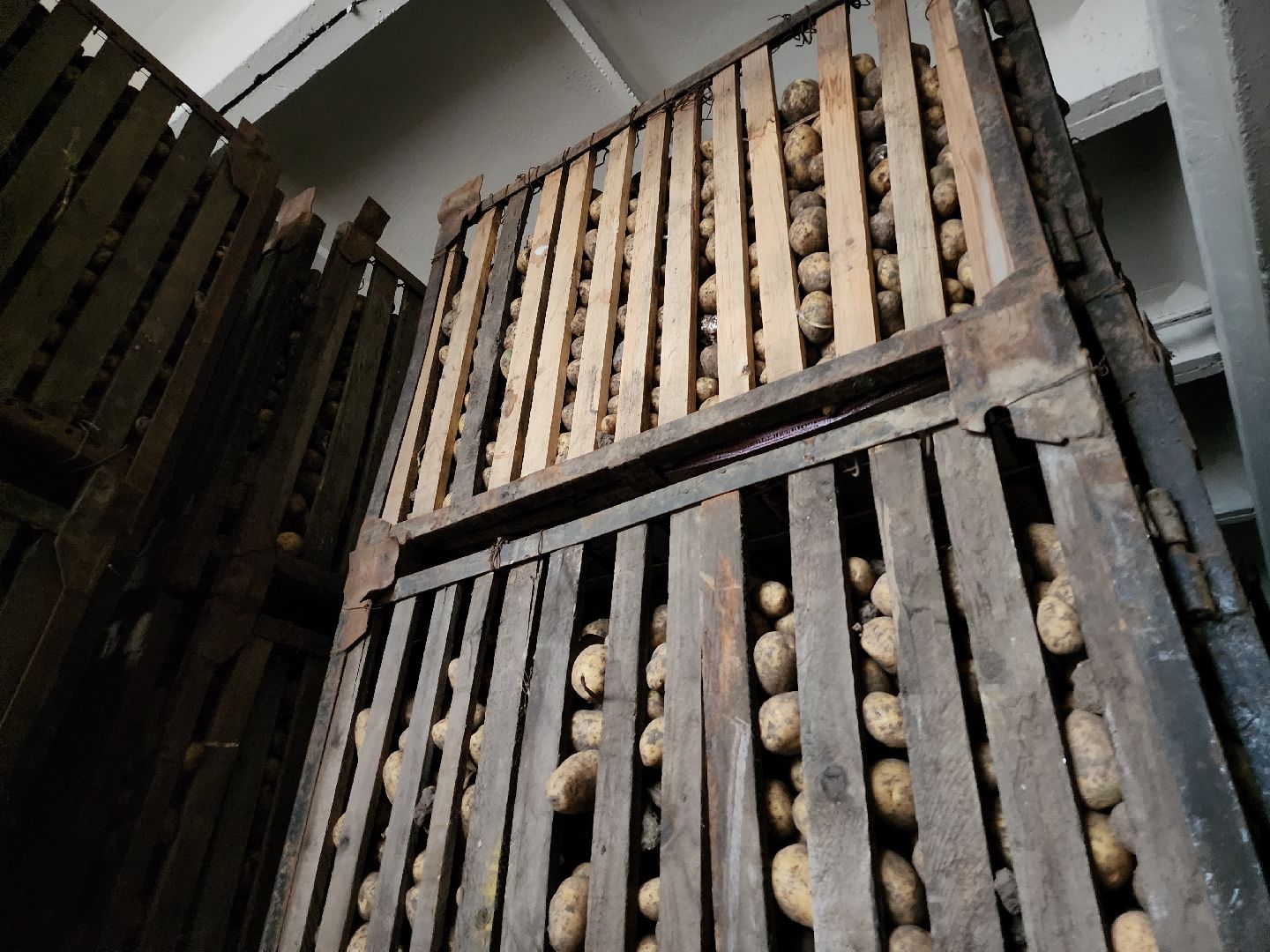 серпухов, ао дашковка, сельское хозяйство, овощехранилище, экономика, поселок большевик,