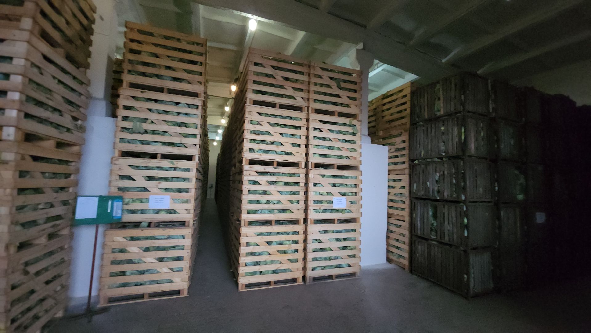 серпухов, ао дашковка, сельское хозяйство, овощехранилище, экономика, поселок большевик,