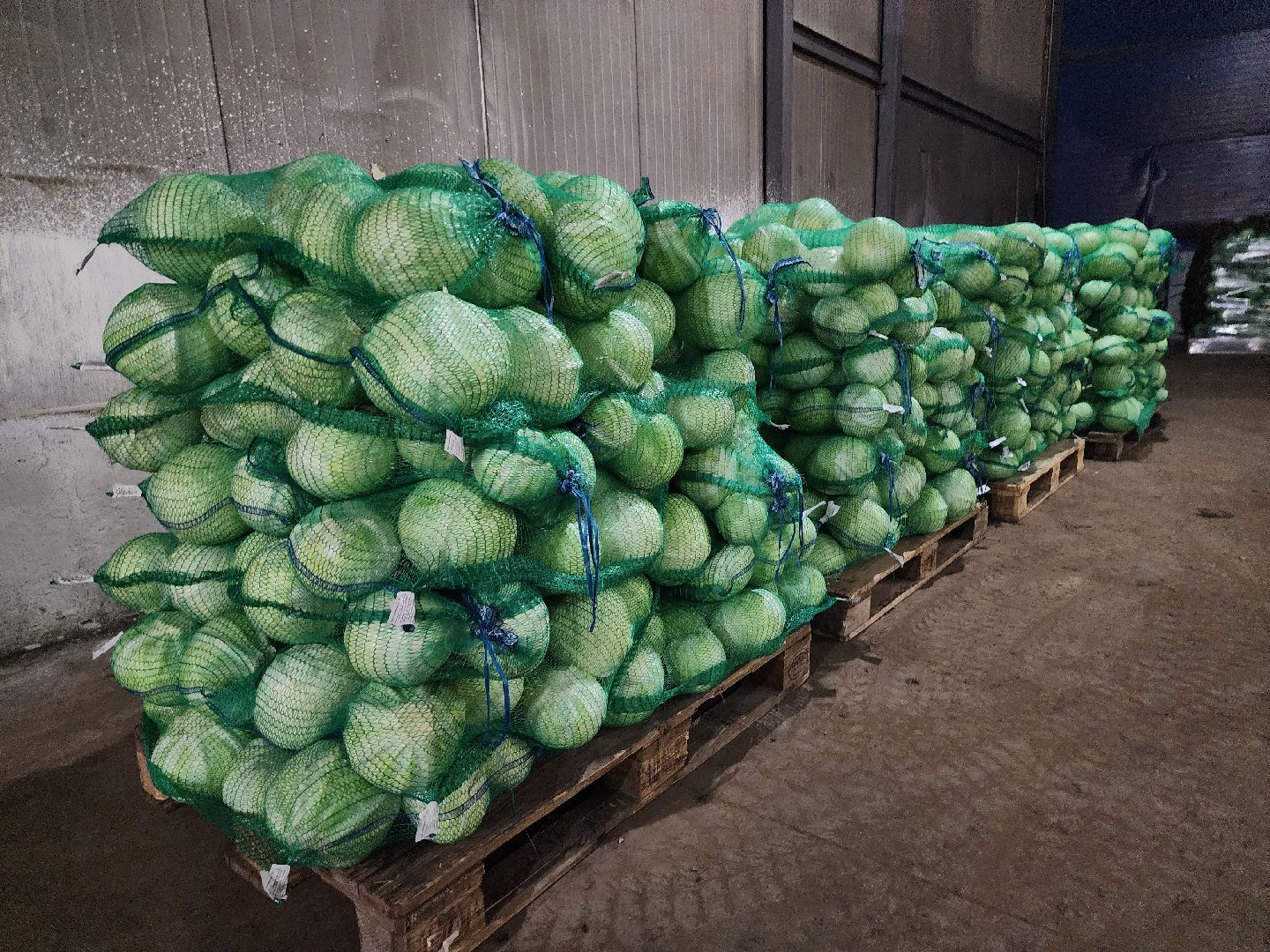 серпухов, ао дашковка, сельское хозяйство, овощехранилище, экономика, поселок большевик,