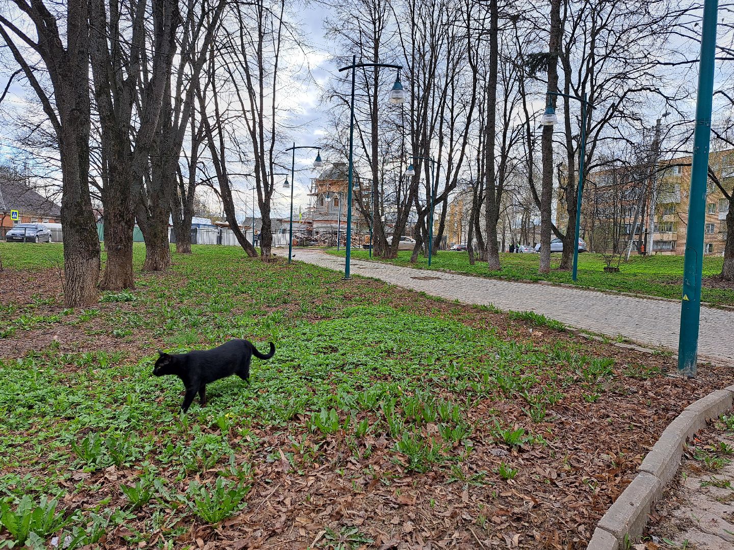Рузский городской округ, благоустройство, голосование, парки. скверы, Жильё и городская среда