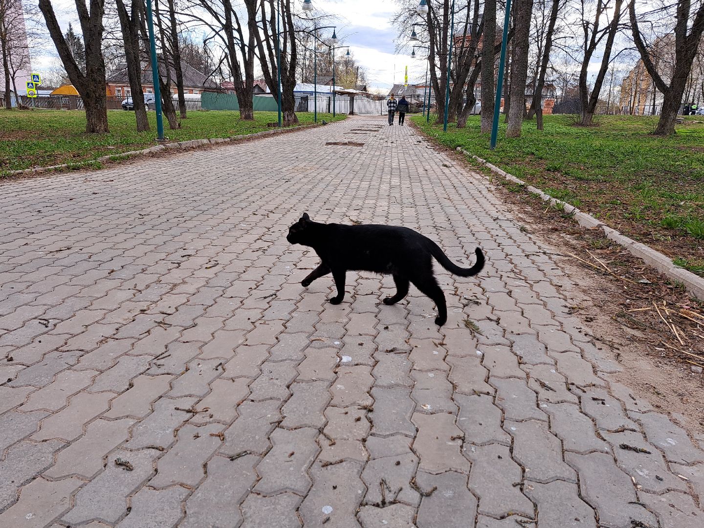 Рузский городской округ, благоустройство, голосование, парки. скверы, Жильё и городская среда