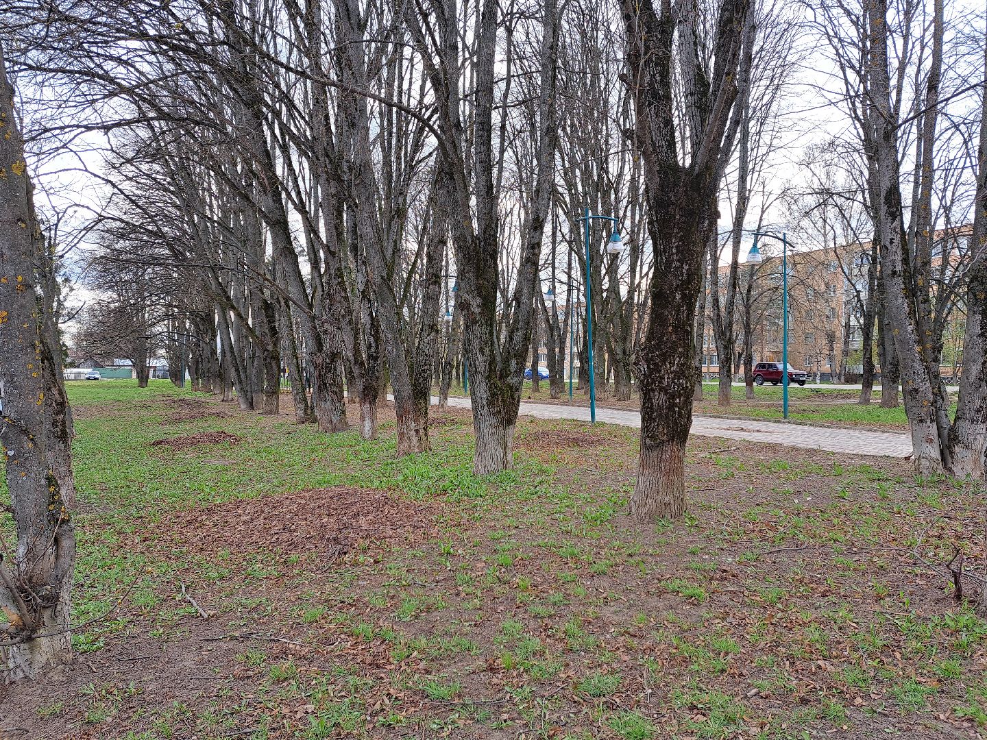 Рузский городской округ, благоустройство, голосование, парки. скверы, Жильё и городская среда