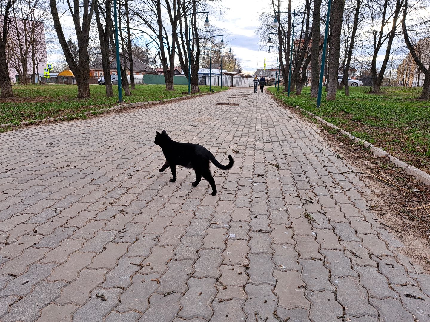Рузский городской округ, благоустройство, голосование, парки. скверы, Жильё и городская среда