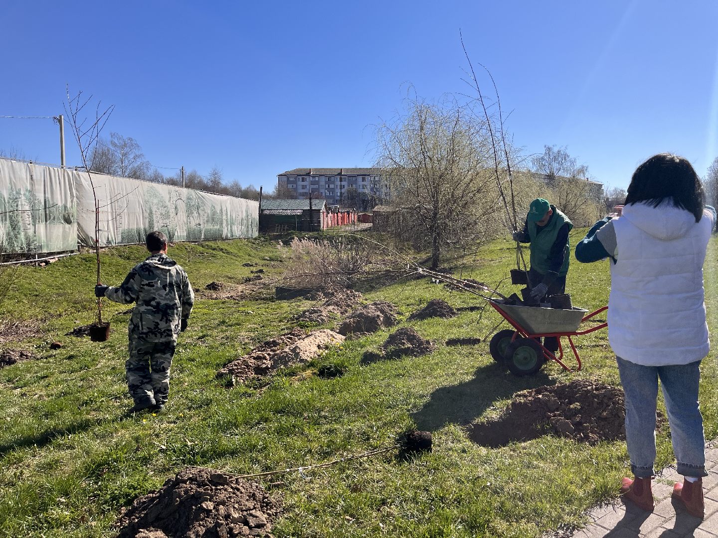 Шаховская, субботник, парк, саженцы