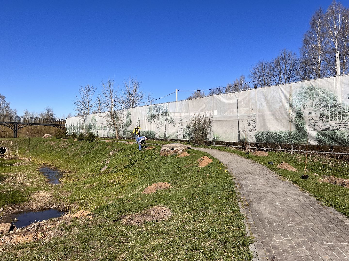 Шаховская, субботник, парк, саженцы