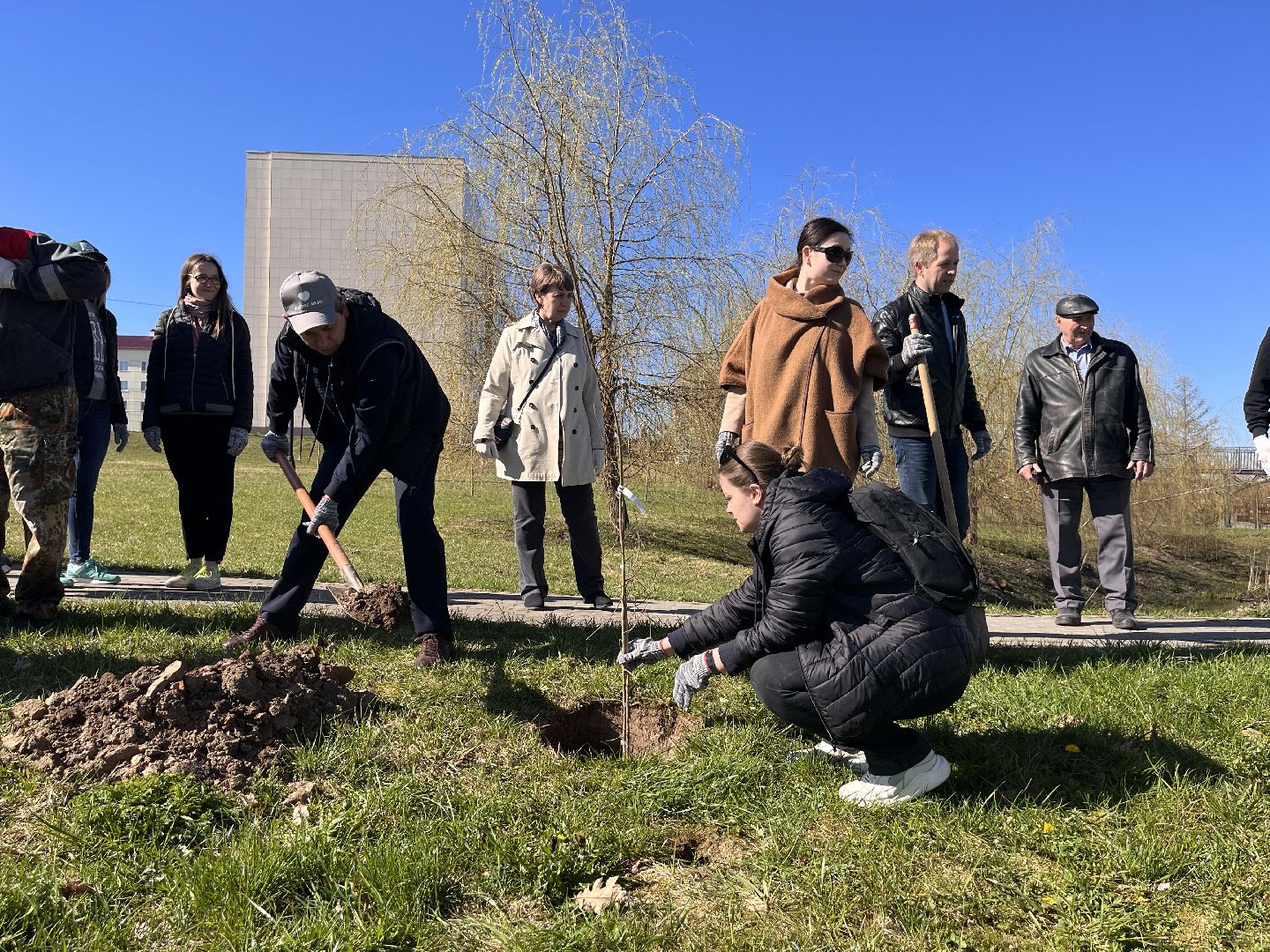 Шаховская, субботник, парк, саженцы