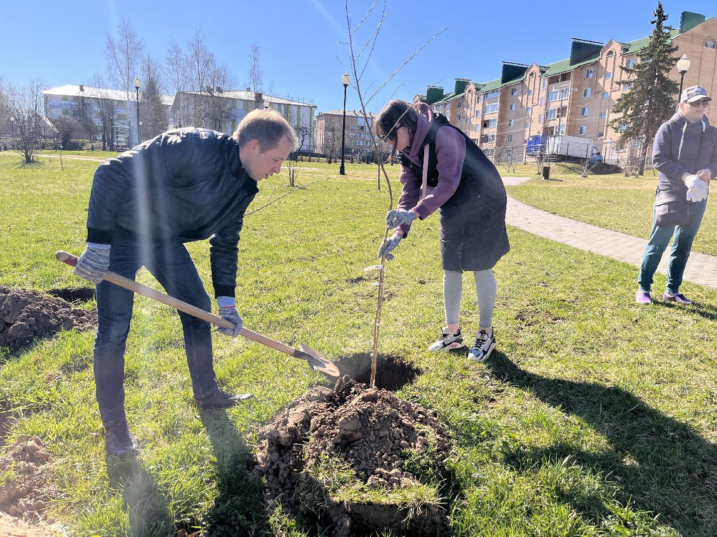 Шаховская, субботник, парк, саженцы