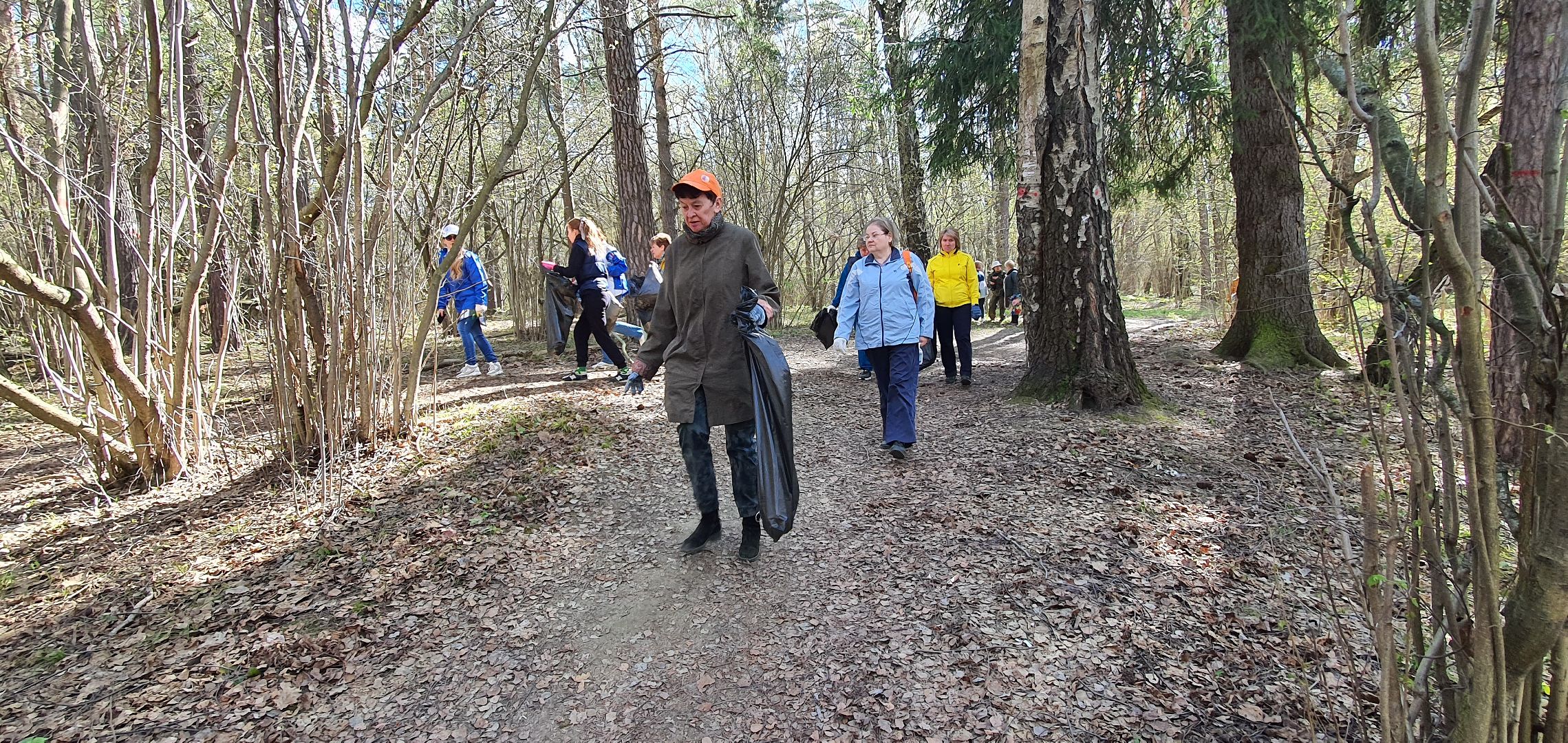 Субботник, Парки Домодедова, деревня Гальчино