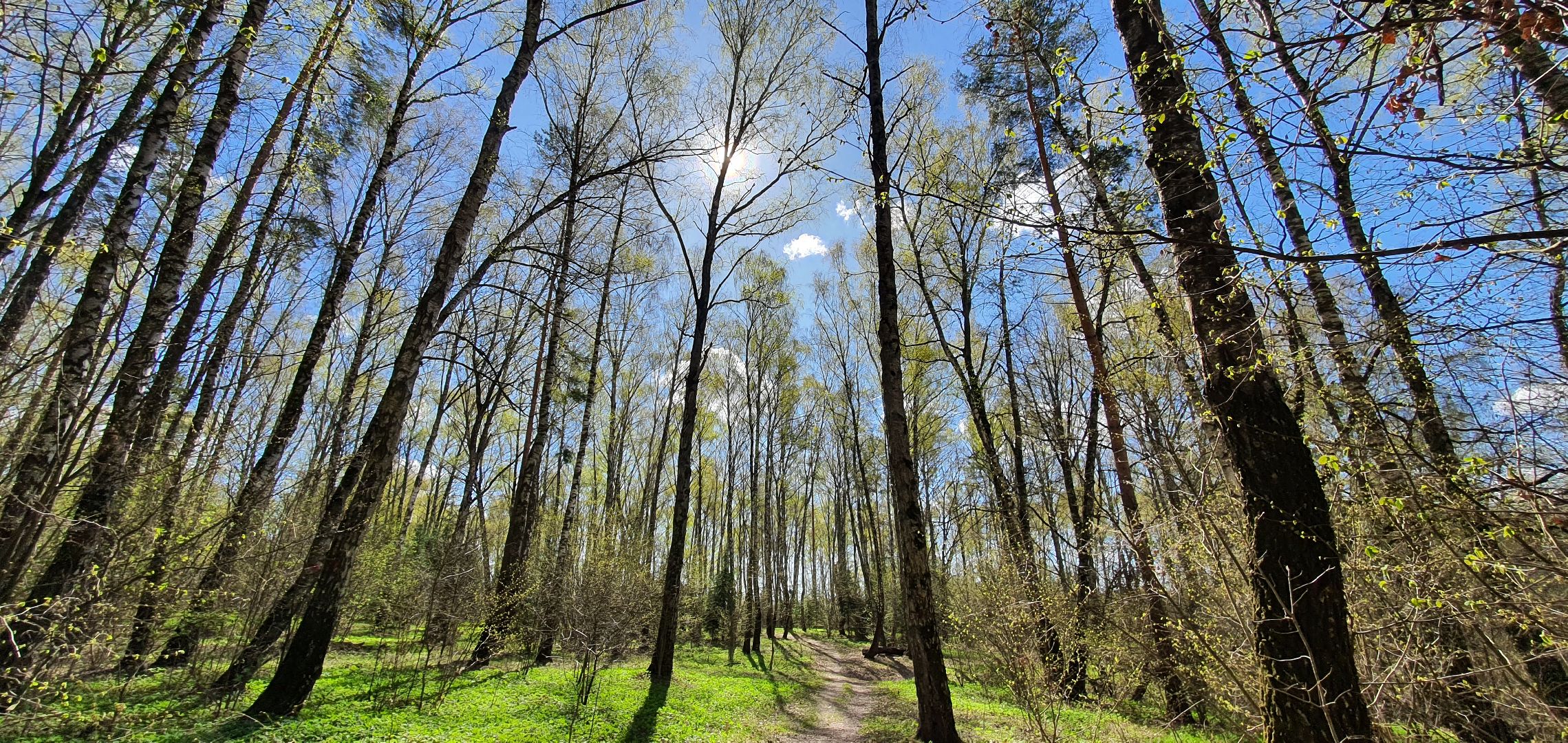 Субботник, Парки Домодедова, деревня Гальчино
