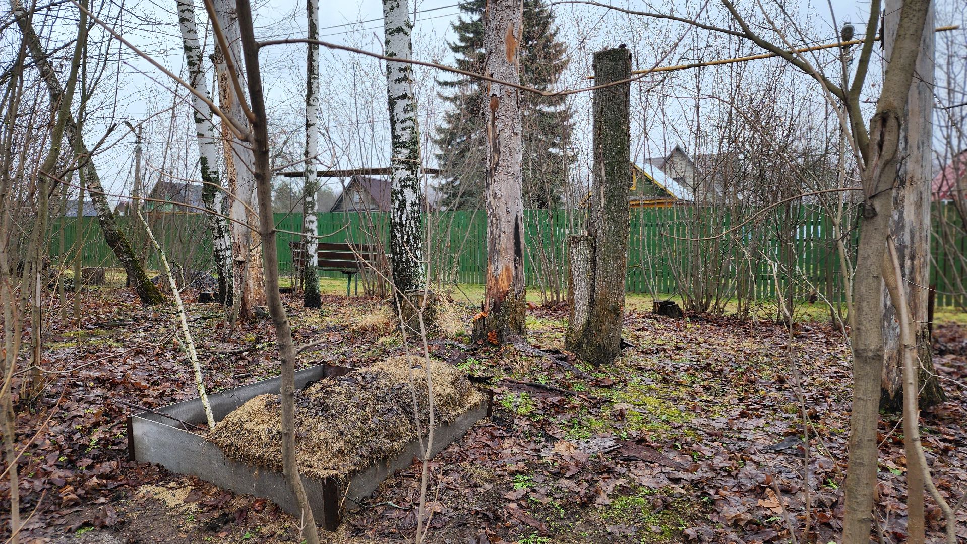 ступино, природа, подмосковье, грибы,