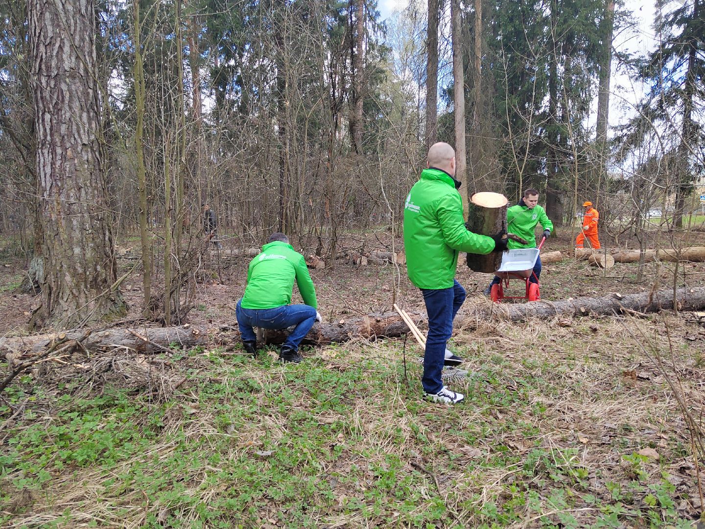 Пушкино, прокуратура, субботник, благоустройство